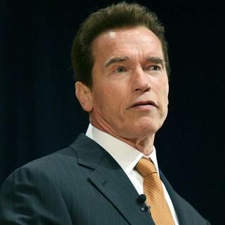 Lietadlo so Schwarzeneggerom núdzovo