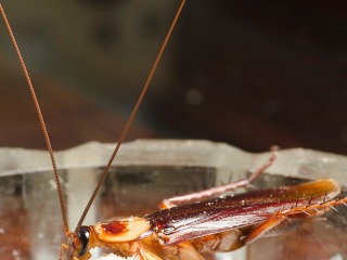 Viete ako sa účinne