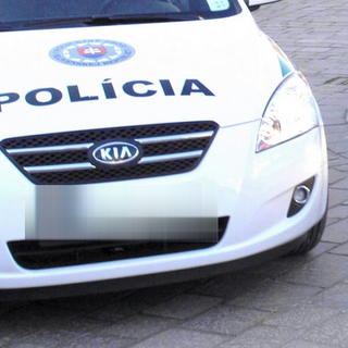 Policajti zadržali kradnuté Audi