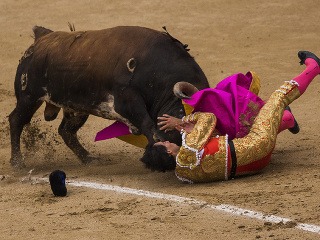 Býky zvíťazili v Madride