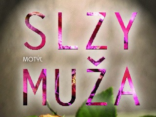 Román Slzy muža je