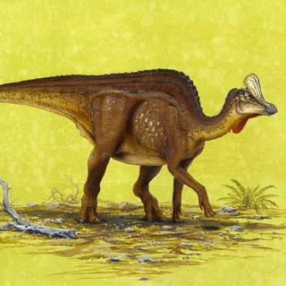 Objavili skamenené dinosaurie vajcia