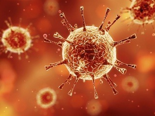 Vedci objavili vírus, ktorý