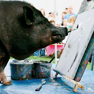 Prasiatko umelec: Maľuje obrazy!