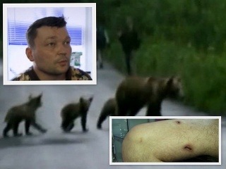 Medvedica zaútočila v Hrochoti