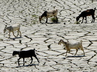 Extrémne sucho na Cypre: