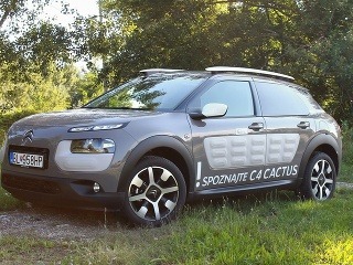 Citroen Cactus 1,2 VTi