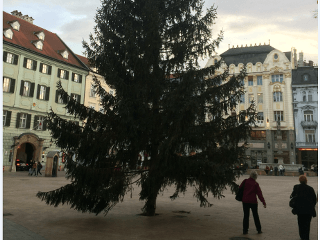 Vianočný stromček na Hlavnom