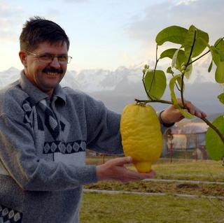 Mamutí citrón pod Tatrami