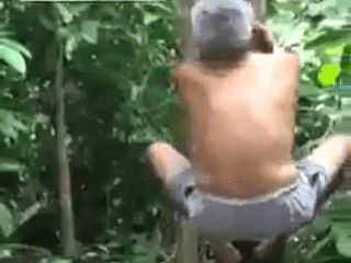 Vetchý Tarzan na VIDEU