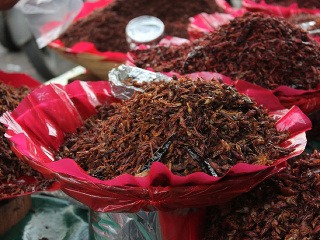 Chapulines, Mexiko