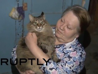 Mačiatko zachránilo batoľa: Opusteného