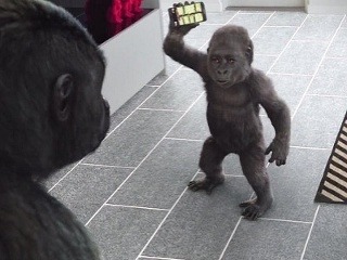 Corning uvedie na trh