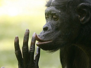 Naleteli ste nekalej reklame?