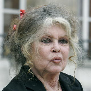 Brigitte Bardotová zaplatí za