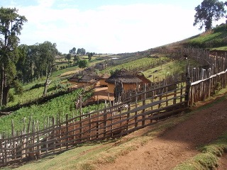 Rozprávková krajina plná políčok