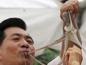 Chápadlá chobotnice dosiahli na