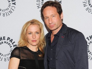 Gillian Anderson a David