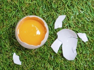 Kvalitu vajíčok nespoznáte podľa