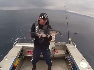 Rybár mal čo robiť,
