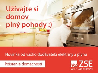 V ZSE si poistíte