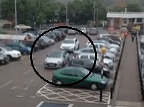 VIDEO Parkovanie na drzovku: