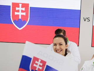 Fanúšikovia Slovenska vo Fun