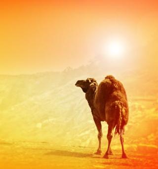 Najviac reálnych užívateľov číta