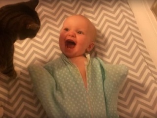 Mačky „nemusíte“? Tak sa