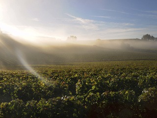 Bordeaux, Francúzsko