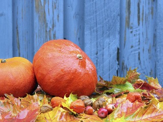 Tekvica je vraj najzdravšia