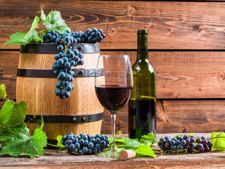 Proti rakovine, demencii aj