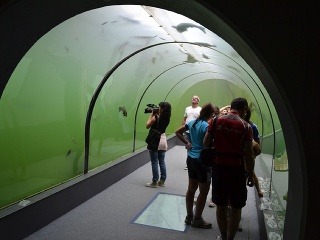 FOTO Unikátny sklenený tunel
