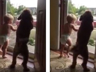 Otecko je doma! Drobec