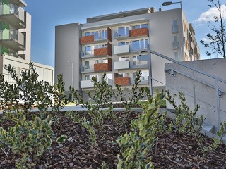 Projekt na MACHNÁČI nedá