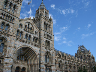Prírodopisné múzeum, Londýn, Veľká