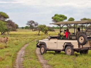 Safari, Botswana