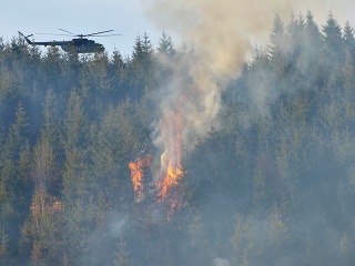 Požiar lesného porastu na