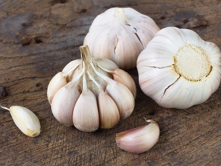 Cesnak je účinné antibiotikum,