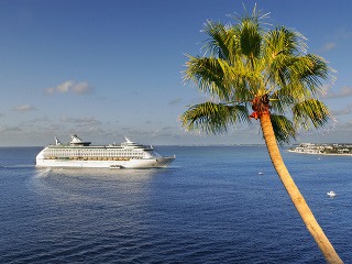 More, palmy a plávajúce