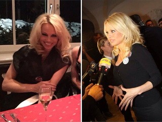 Pamela Anderson na párty