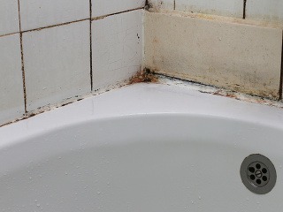 Plesne nás vedia potrápiť,