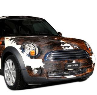 Špecialitka veľtrhu MODDOM: Autíčko