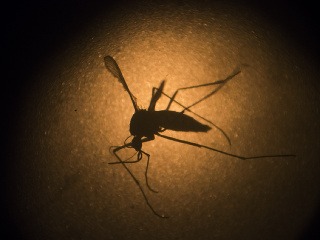 Vírus Zika sa šíri