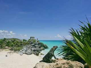 Takto sa vyhrievajú jaštery