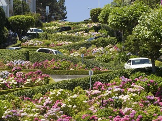 Slalom medzi kvetmi je