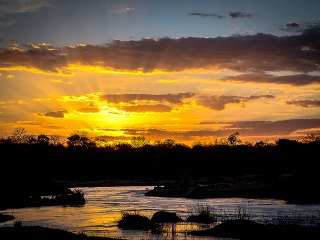 Rezervácia Selous, Tanzánia