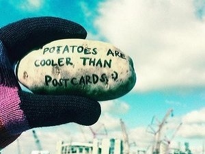 Nápad za milión: Firma,