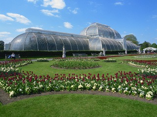 Kráľovská botanická záhrada v