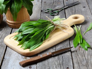 Nazbierajte si medvedí cesnak: